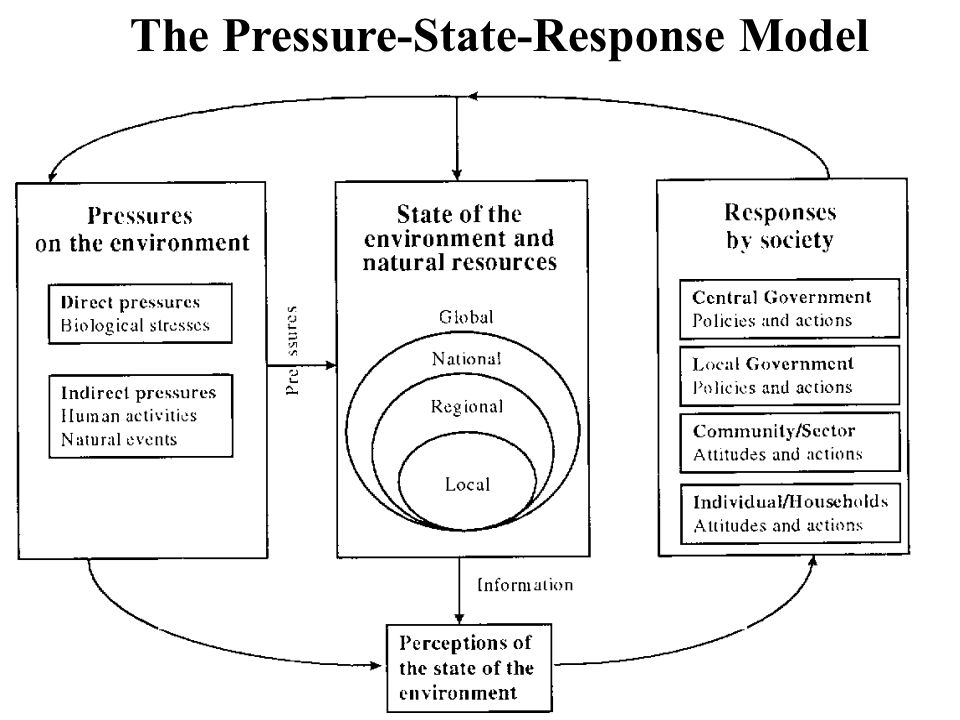 The Pressure-State-Response Model