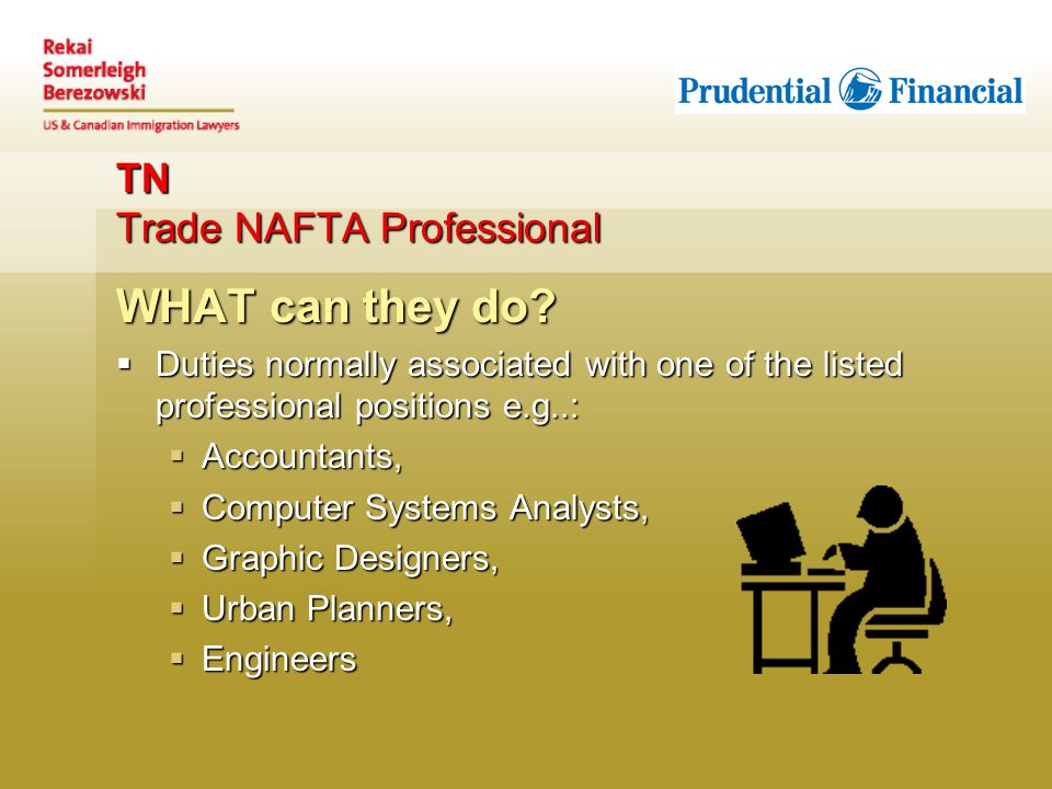 TN Trade NAFTA Professional WHAT can they do.