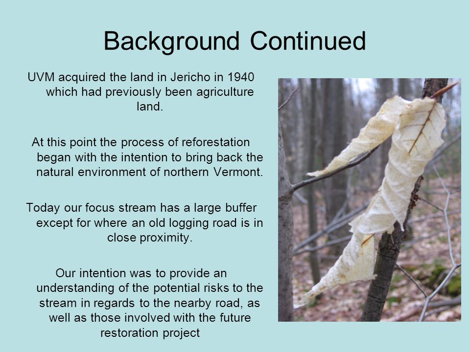 Background Continued UVM acquired the land in Jericho in 1940 which had previously been agriculture land.