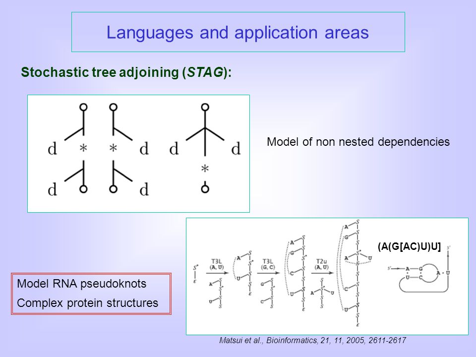 Languages and application areas Stochastic tree adjoining (STAG): Model RNA pseudoknots Complex protein structures Matsui et al., Bioinformatics, 21, 11, 2005, (A(G[AC)U)U] Model of non nested dependencies