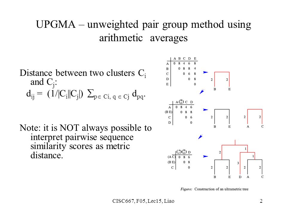 CISC667, F05, Lec15, Liao2 UPGMA – unweighted pair group method using arithmetic averages Distance between two clusters C i and C j : d ij = (1/|C i ||C j |)  p  Ci, q  Cj d pq.