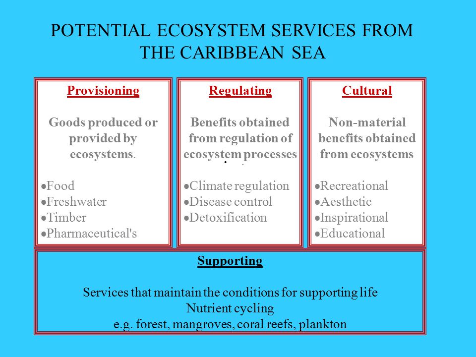 Supporting Services that maintain the conditions for supporting life Nutrient cycling e.g.