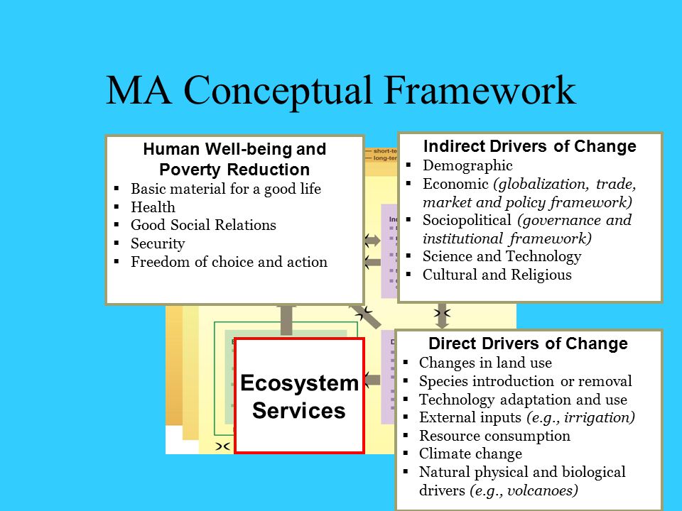 MA Conceptual Framework Direct Drivers Indirect Drivers Ecosystem Services Human Well-being Direct Drivers of Change  Changes in land use  Species introduction or removal  Technology adaptation and use  External inputs (e.g., irrigation)  Resource consumption  Climate change  Natural physical and biological drivers (e.g., volcanoes) Indirect Drivers of Change  Demographic  Economic (globalization, trade, market and policy framework)  Sociopolitical (governance and institutional framework)  Science and Technology  Cultural and Religious Human Well-being and Poverty Reduction  Basic material for a good life  Health  Good Social Relations  Security  Freedom of choice and action