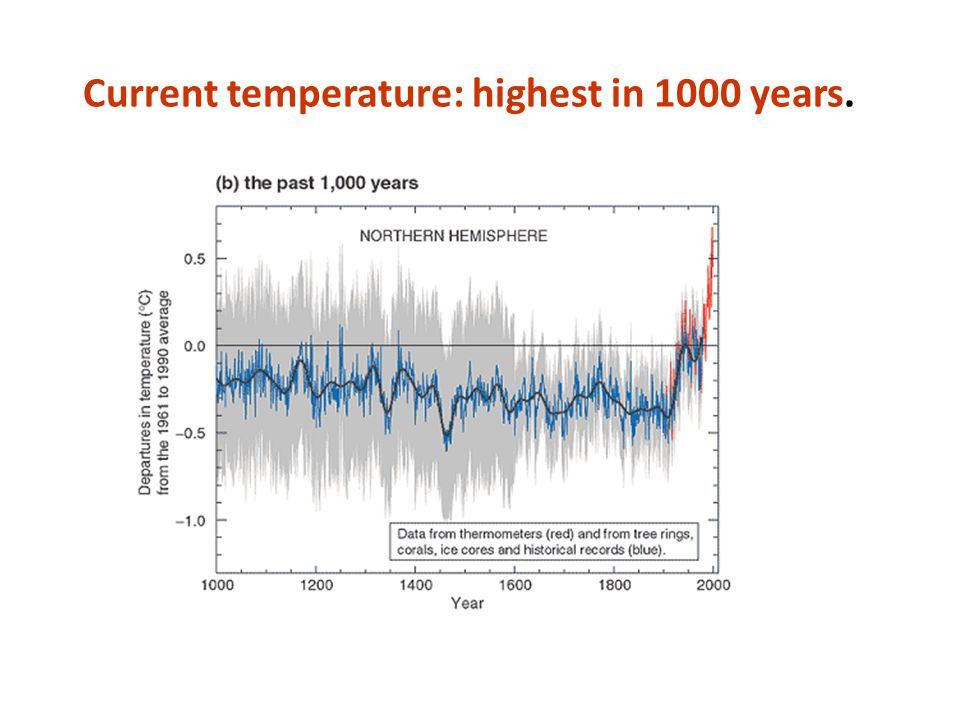 Current temperature: highest in 1000 years.