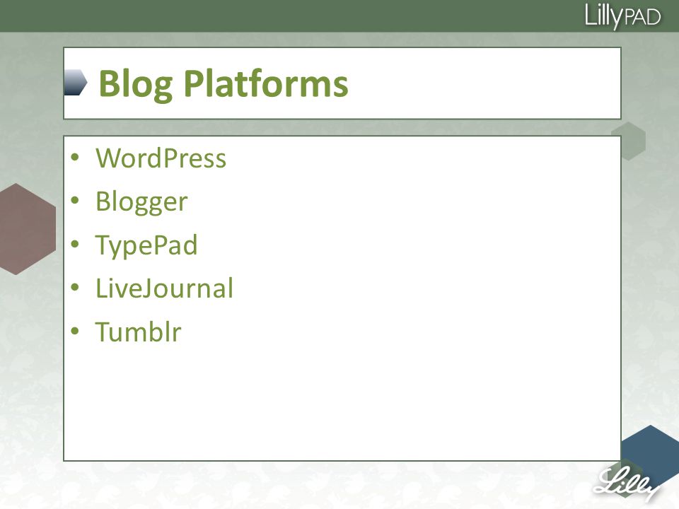 Blog Platforms WordPress Blogger TypePad LiveJournal Tumblr