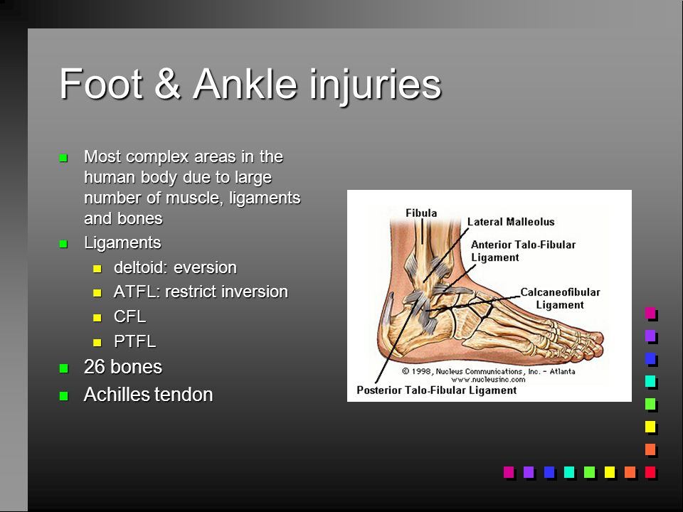 Chapter 6 -Injuries to the Lower Extremity Most common due to application  of large loads. Important because of the role on the lower extremity in  locomotion. - ppt download