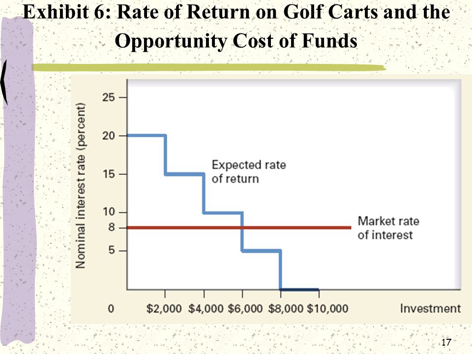 17 Exhibit 6: Rate of Return on Golf Carts and the Opportunity Cost of Funds