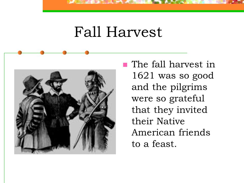 Fall Harvest The fall harvest in 1621 was so good and the pilgrims were so grateful that they invited their Native American friends to a feast.