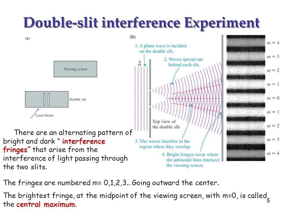 INTERFERENCE FRINGES IN PHYSICS EPUB DOWNLOAD INTERFERENCE FRINGES IN PHYSICS EPUB DOWNLOAD