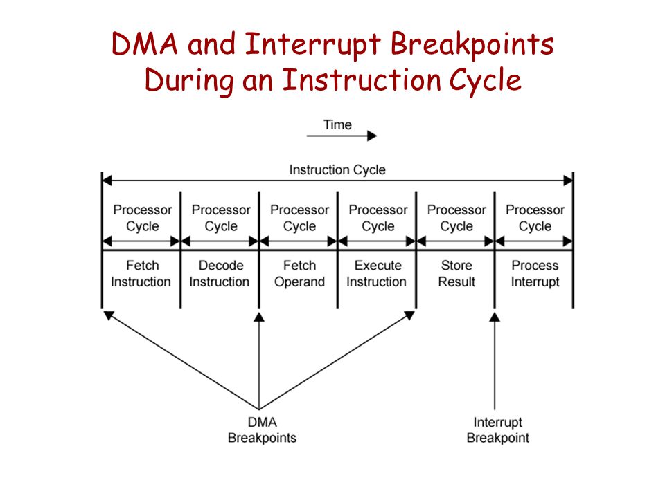 DMA and Interrupt Breakpoints During an Instruction Cycle