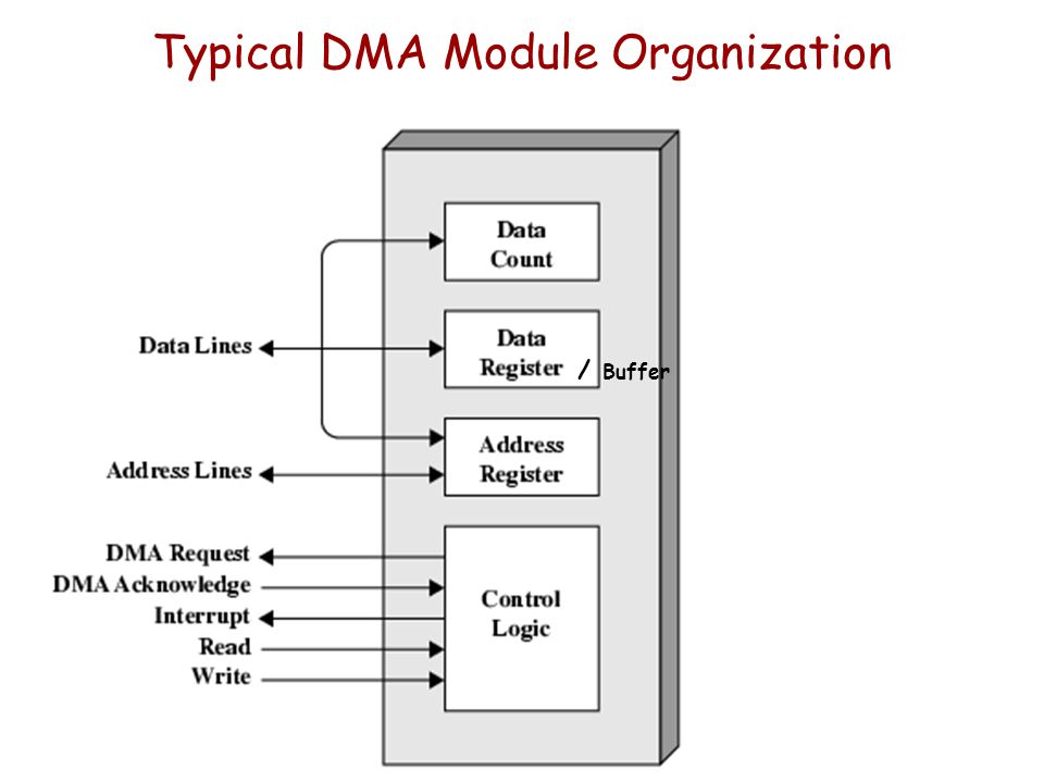 Typical DMA Module Organization / Buffer