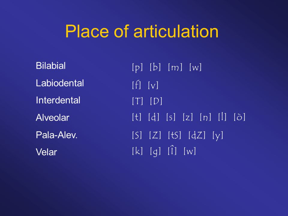 Contrastive Phonology English German Plosives P Pop Stop B Bed Bomb T Tense Cut D Disk Did K Cold Kick G Go Gig Uh Oh Q Butter Better Ppt Download