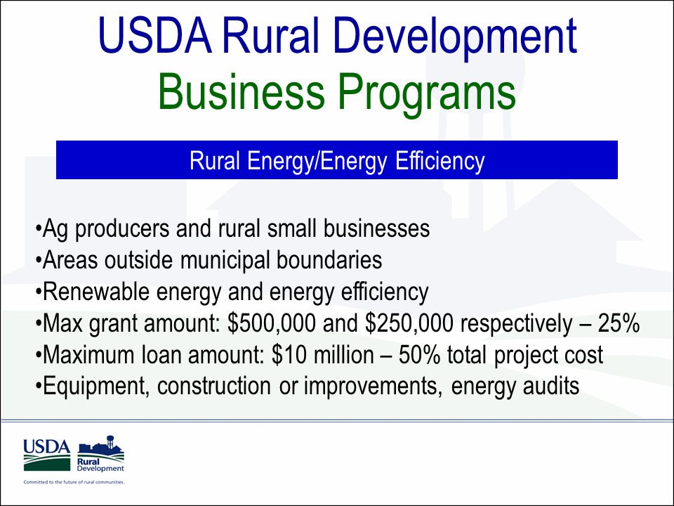 USDA Rural Development Business Programs Rural Energy/Energy Efficiency Ag producers and rural small businesses Areas outside municipal boundaries Renewable energy and energy efficiency Max grant amount: $500,000 and $250,000 respectively – 25% Maximum loan amount: $10 million – 50% total project cost Equipment, construction or improvements, energy audits