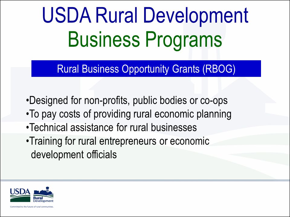 USDA Rural Development Business Programs Rural Business Opportunity Grants (RBOG) Designed for non-profits, public bodies or co-ops To pay costs of providing rural economic planning Technical assistance for rural businesses Training for rural entrepreneurs or economic development officials