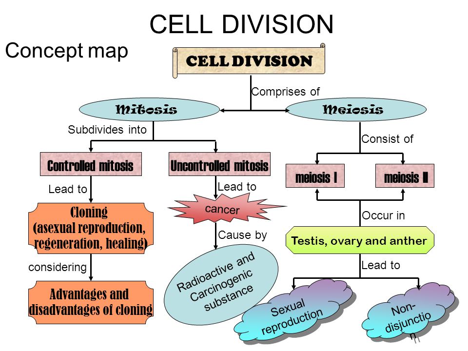 Meiosis overview can you fill in the meiosis concept map. 