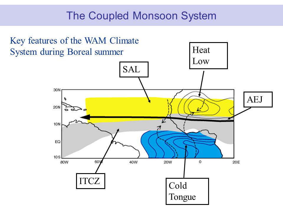 The Coupled Monsoon System Cold Tongue SAL ITCZ Heat Low Key features of the WAM Climate System during Boreal summer AEJ