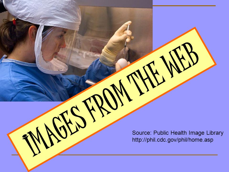 IMAGES FROM THE WEB Source: Public Health Image Library