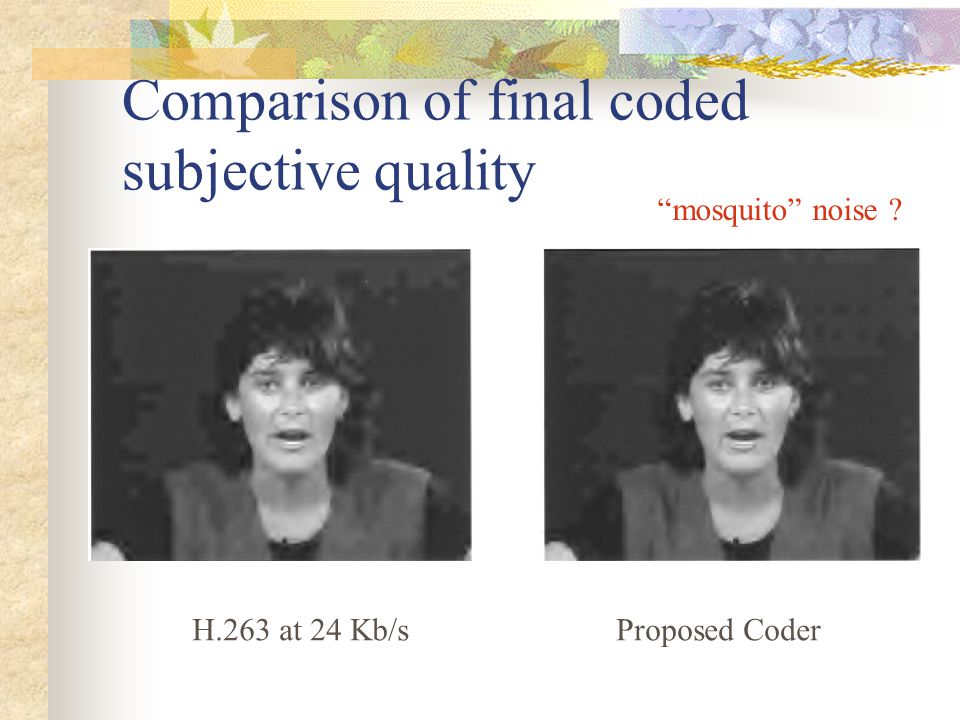 Comparison of final coded subjective quality H.263 at 24 Kb/sProposed Coder mosquito noise