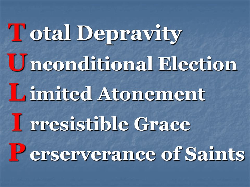 TULIPTULIPTULIPTULIP otal Depravity nconditional Election imited Atonement rresistible Grace erserverance of Saints