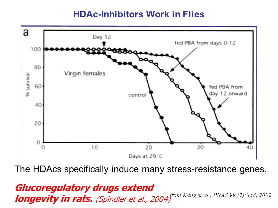 Drug Interventions Extend Longevity in Flies from Kang et al., PNAS 99 (2):838, 2002 The Drug Activates the Fly’s Stress Resistance Genes Glucoregulatory drugs extend longevity in rats.