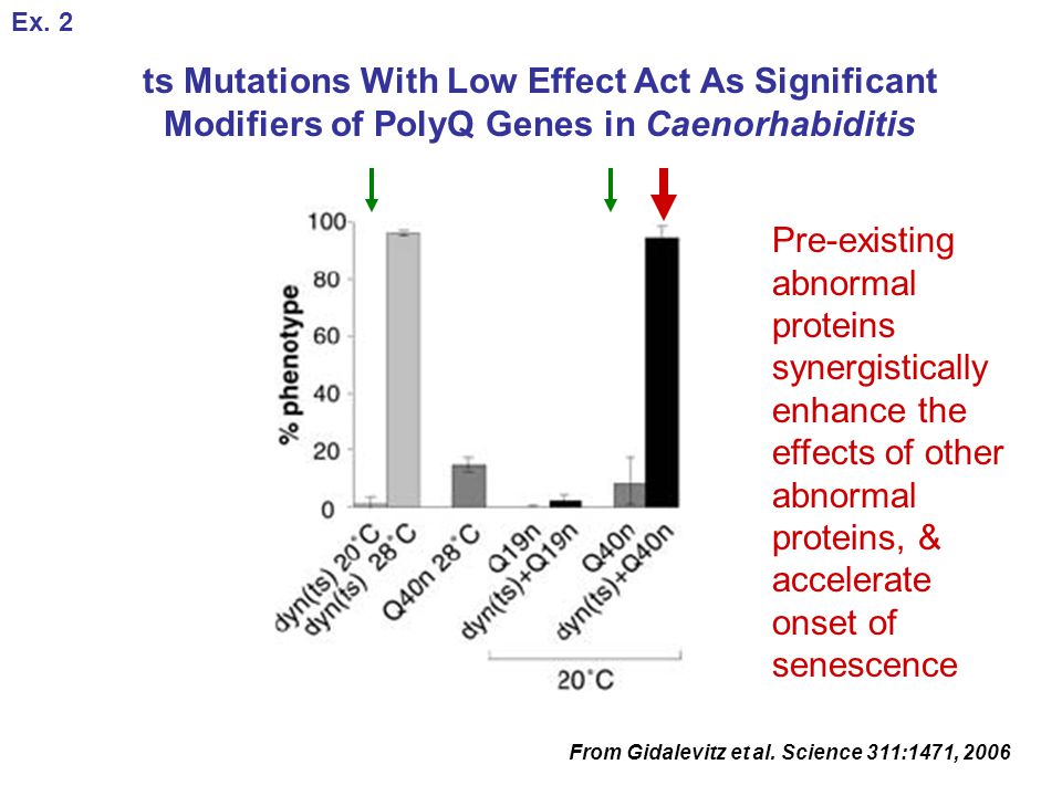 ts Mutations With Low Effect Act As Significant Modifiers of PolyQ Genes in Caenorhabiditis From Gidalevitz et al.