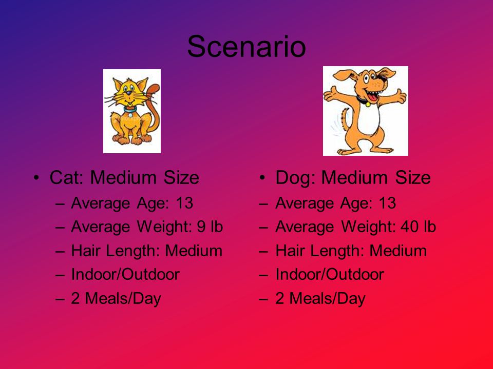 Scenario Cat: Medium Size –Average Age: 13 –Average Weight: 9 lb –Hair Length: Medium –Indoor/Outdoor –2 Meals/Day Dog: Medium Size –Average Age: 13 –Average Weight: 40 lb –Hair Length: Medium –Indoor/Outdoor –2 Meals/Day