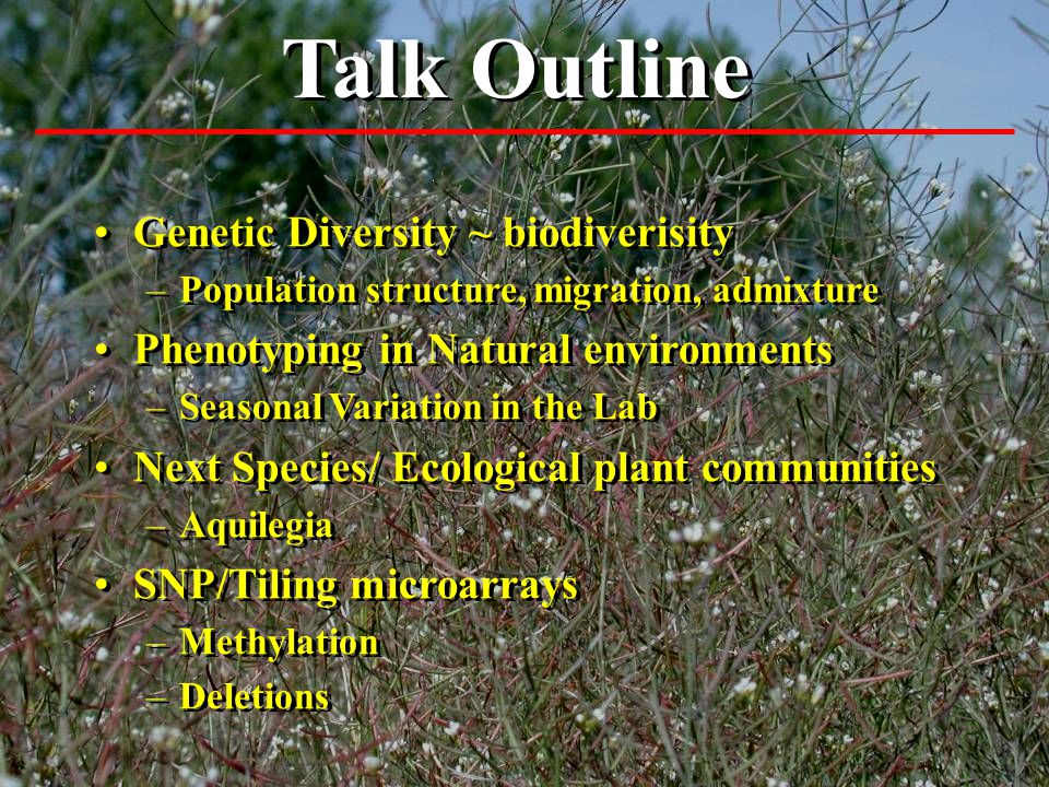 Talk Outline Genetic Diversity ~ biodiverisity –Population structure, migration, admixture Phenotyping in Natural environments –Seasonal Variation in the Lab Next Species/ Ecological plant communities –Aquilegia SNP/Tiling microarrays –Methylation –Deletions Genetic Diversity ~ biodiverisity –Population structure, migration, admixture Phenotyping in Natural environments –Seasonal Variation in the Lab Next Species/ Ecological plant communities –Aquilegia SNP/Tiling microarrays –Methylation –Deletions