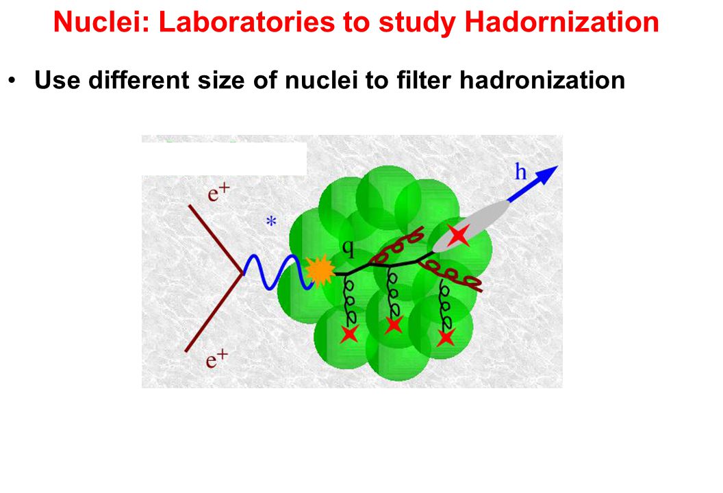 Nuclei: Laboratories to study Hadornization Use different size of nuclei to filter hadronization