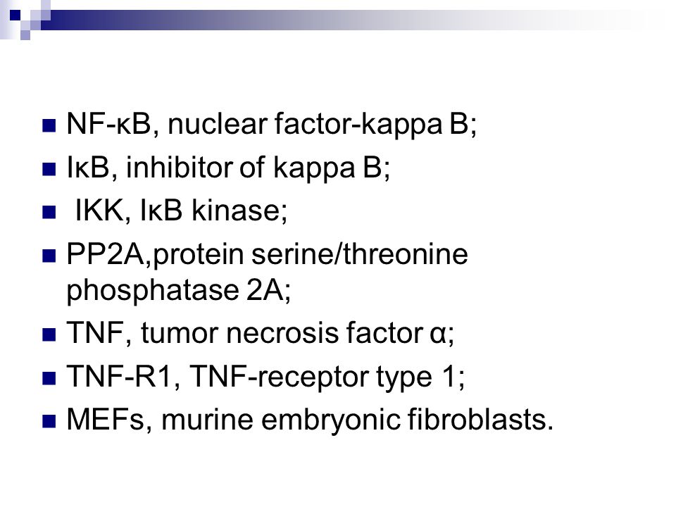 NF-κB, nuclear factor-kappa B; IκB, inhibitor of kappa B; IKK, IκB kinase; PP2A,protein serine/threonine phosphatase 2A; TNF, tumor necrosis factor α; TNF-R1, TNF-receptor type 1; MEFs, murine embryonic fibroblasts.