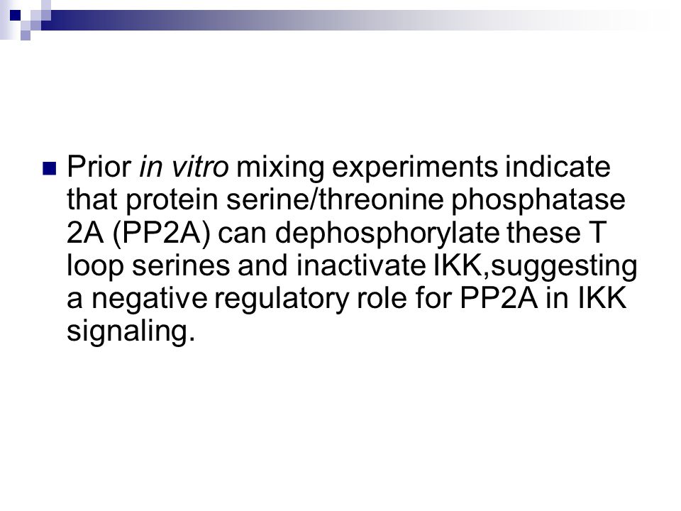 Prior in vitro mixing experiments indicate that protein serine/threonine phosphatase 2A (PP2A) can dephosphorylate these T loop serines and inactivate IKK,suggesting a negative regulatory role for PP2A in IKK signaling.