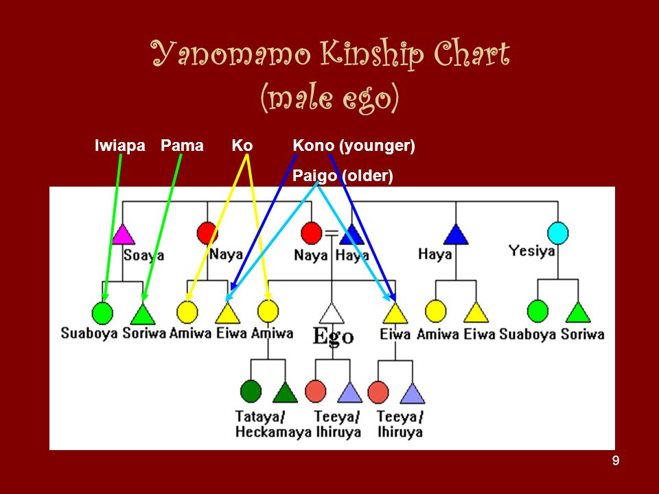 Kinships in the yanomamo importance of kinship in anthropology
