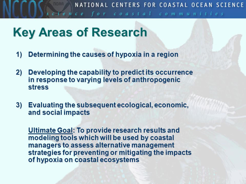 Key Areas of Research 1)Determining the causes of hypoxia in a region 2)Developing the capability to predict its occurrence in response to varying levels of anthropogenic stress 3)Evaluating the subsequent ecological, economic, and social impacts Ultimate Goal: To provide research results and modeling tools which will be used by coastal managers to assess alternative management strategies for preventing or mitigating the impacts of hypoxia on coastal ecosystems