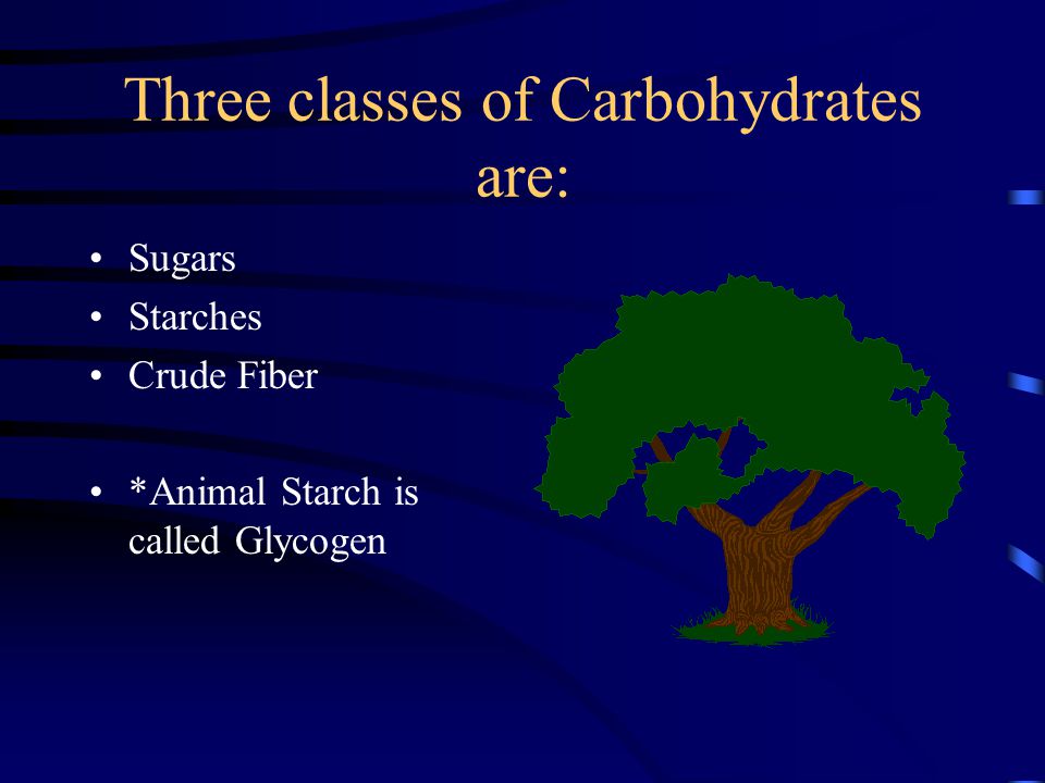 Carbohydrates and fats. Objectives: To be able to discuss classes and  sources of carbohydrates needed by livestock To be able to discuss the  characteristics. - ppt download