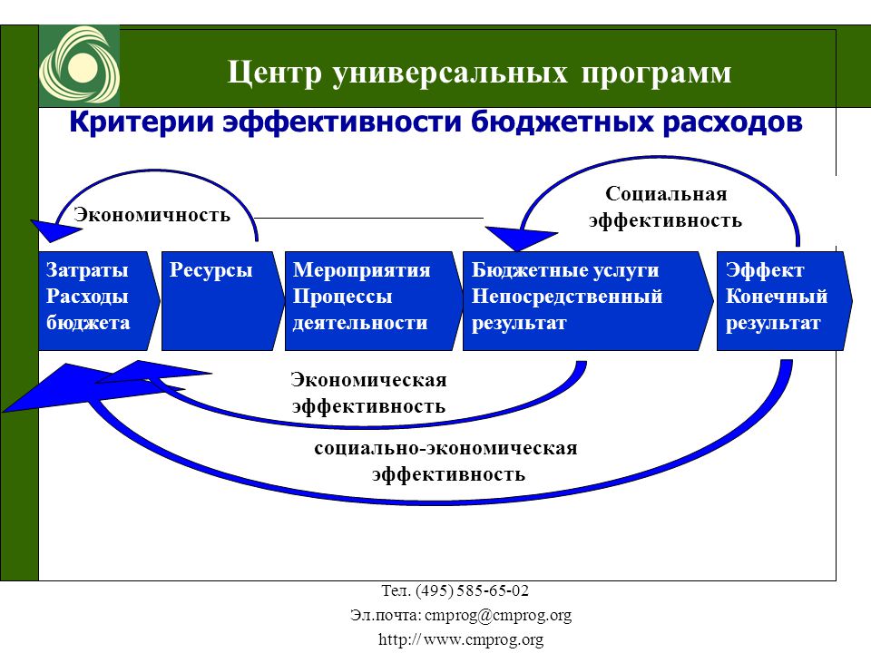 Критерии эффективности бюджетных учреждений. Универсальное программное обеспечение. Критерии эффективности бюджетной политики. Критерии эффективности социальной политики. Социальная эффективность бюджетных расходов это отношение.