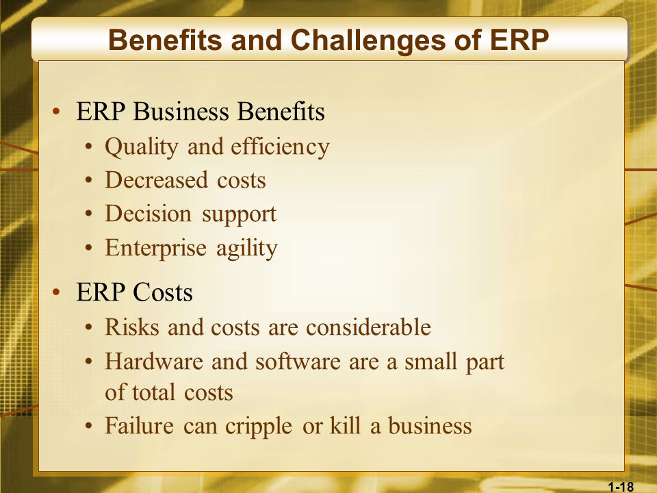 1-18 Benefits and Challenges of ERP ERP Business Benefits Quality and efficiency Decreased costs Decision support Enterprise agility ERP Costs Risks and costs are considerable Hardware and software are a small part of total costs Failure can cripple or kill a business