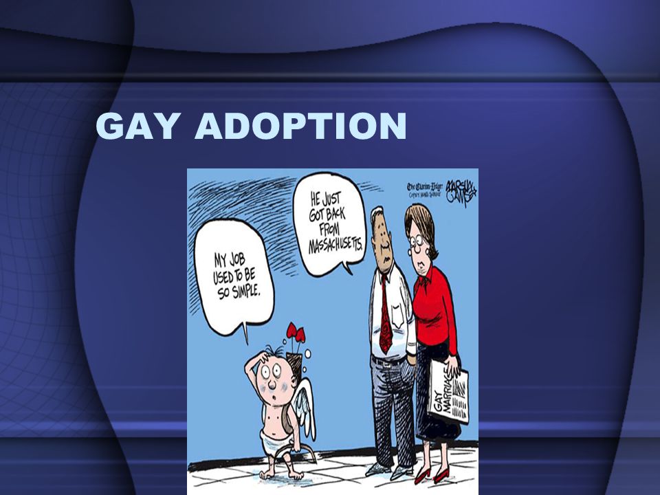 Gay adoption legal cases