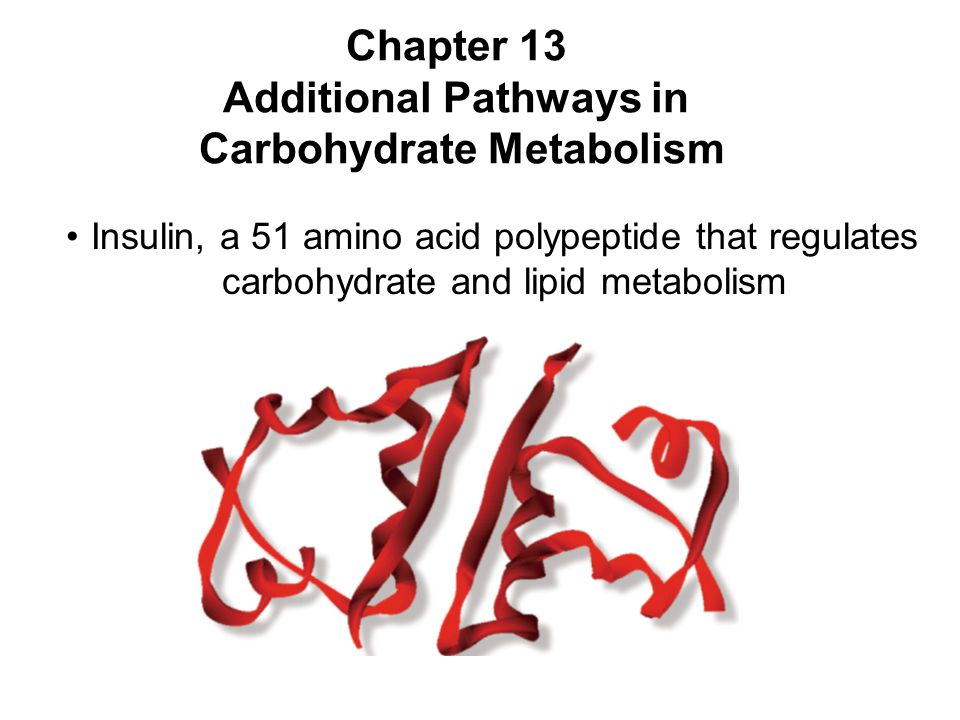 Prentice Hall c2002Chapter 131 Chapter 13 Additional Pathways in Carbohydrate Metabolism Insulin, a 51 amino acid polypeptide that regulates carbohydrate and lipid metabolism