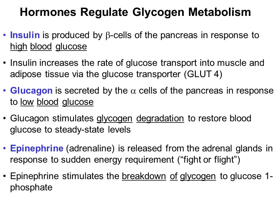 Prentice Hall c2002Chapter 1313 Hormones Regulate Glycogen Metabolism Insulin is produced by  -cells of the pancreas in response to high blood glucose Insulin increases the rate of glucose transport into muscle and adipose tissue via the glucose transporter (GLUT 4) Glucagon is secreted by the  cells of the pancreas in response to low blood glucose Glucagon stimulates glycogen degradation to restore blood glucose to steady-state levels Epinephrine (adrenaline) is released from the adrenal glands in response to sudden energy requirement ( fight or flight ) Epinephrine stimulates the breakdown of glycogen to glucose 1- phosphate