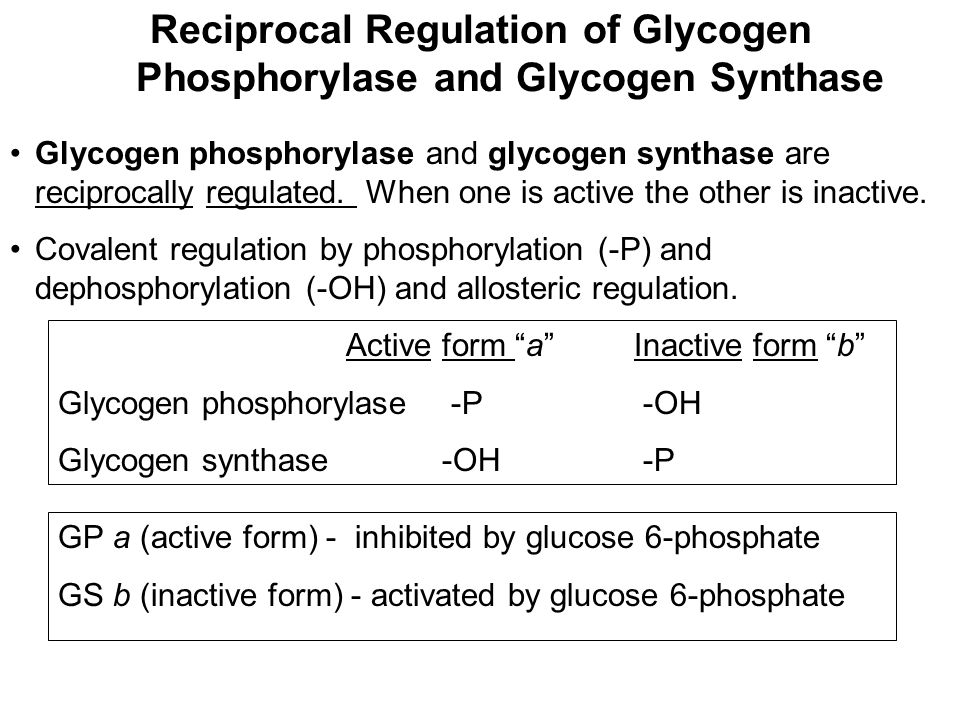 Prentice Hall c2002Chapter 1315 Reciprocal Regulation of Glycogen Phosphorylase and Glycogen Synthase Glycogen phosphorylase and glycogen synthase are reciprocally regulated.