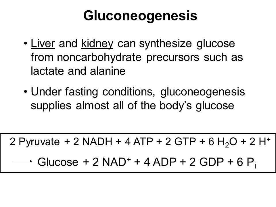 Prentice Hall c2002Chapter 1316 Gluconeogenesis Liver and kidney can synthesize glucose from noncarbohydrate precursors such as lactate and alanine Under fasting conditions, gluconeogenesis supplies almost all of the body’s glucose 2 Pyruvate + 2 NADH + 4 ATP + 2 GTP + 6 H 2 O + 2 H + Glucose + 2 NAD ADP + 2 GDP + 6 P i