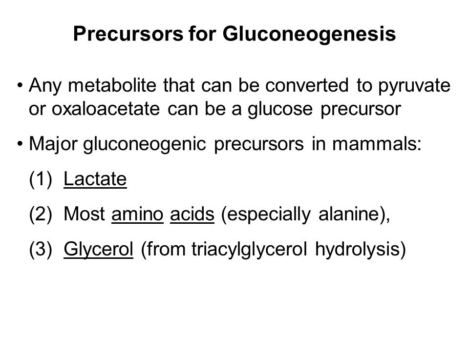 Prentice Hall c2002Chapter 1323 Precursors for Gluconeogenesis Any metabolite that can be converted to pyruvate or oxaloacetate can be a glucose precursor Major gluconeogenic precursors in mammals: (1) Lactate (2) Most amino acids (especially alanine), (3) Glycerol (from triacylglycerol hydrolysis)