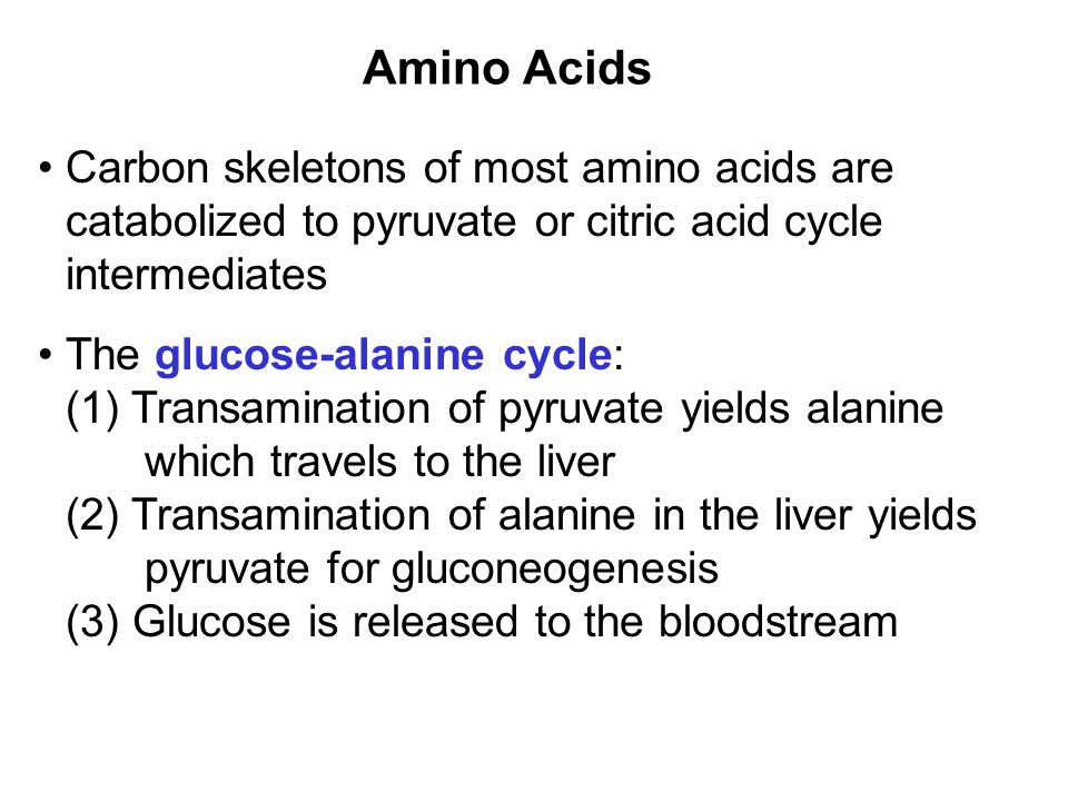 Prentice Hall c2002Chapter 1325 Amino Acids Carbon skeletons of most amino acids are catabolized to pyruvate or citric acid cycle intermediates The glucose-alanine cycle: (1) Transamination of pyruvate yields alanine which travels to the liver (2) Transamination of alanine in the liver yields pyruvate for gluconeogenesis (3) Glucose is released to the bloodstream