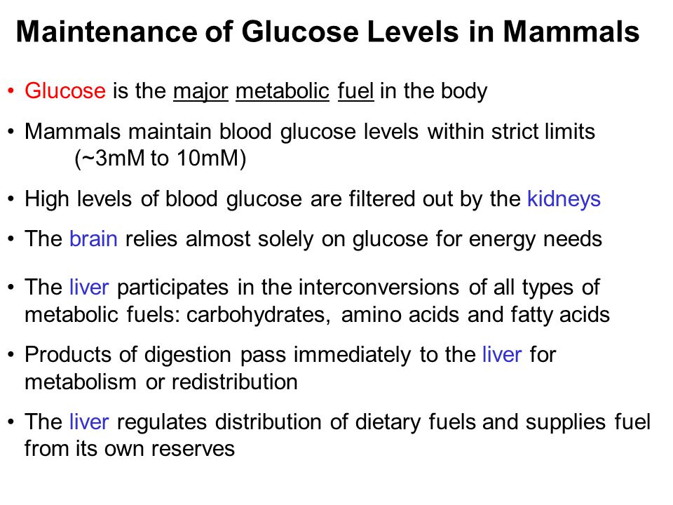 Prentice Hall c2002Chapter 1330 Maintenance of Glucose Levels in Mammals Glucose is the major metabolic fuel in the body Mammals maintain blood glucose levels within strict limits (~3mM to 10mM) High levels of blood glucose are filtered out by the kidneys The brain relies almost solely on glucose for energy needs The liver participates in the interconversions of all types of metabolic fuels: carbohydrates, amino acids and fatty acids Products of digestion pass immediately to the liver for metabolism or redistribution The liver regulates distribution of dietary fuels and supplies fuel from its own reserves