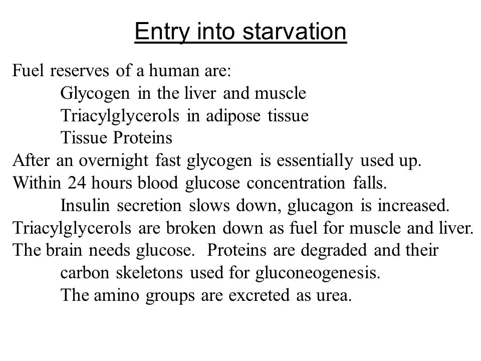 Prentice Hall c2002Chapter 1333 Entry into starvation Fuel reserves of a human are: Glycogen in the liver and muscle Triacylglycerols in adipose tissue Tissue Proteins After an overnight fast glycogen is essentially used up.
