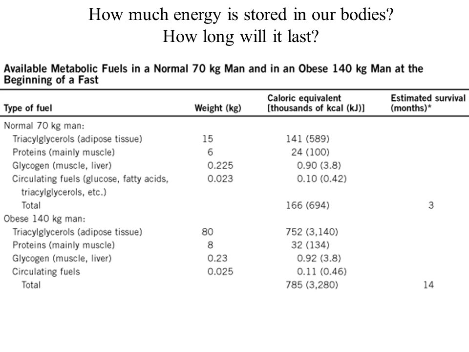 Prentice Hall c2002Chapter 1334 How much energy is stored in our bodies How long will it last