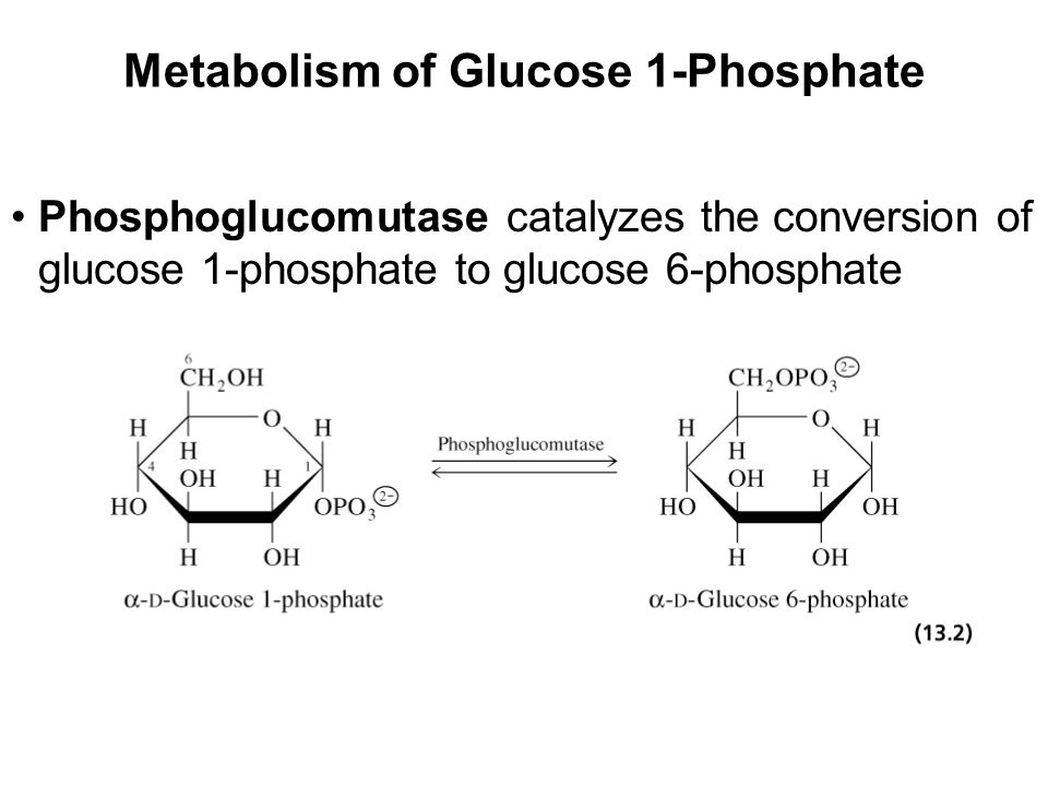 Prentice Hall c2002Chapter 138 Metabolism of Glucose 1-Phosphate Phosphoglucomutase catalyzes the conversion of glucose 1-phosphate to glucose 6-phosphate