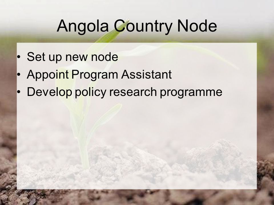 Angola Country Node Set up new node Appoint Program Assistant Develop policy research programme