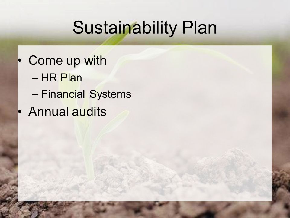 Sustainability Plan Come up with –HR Plan –Financial Systems Annual audits
