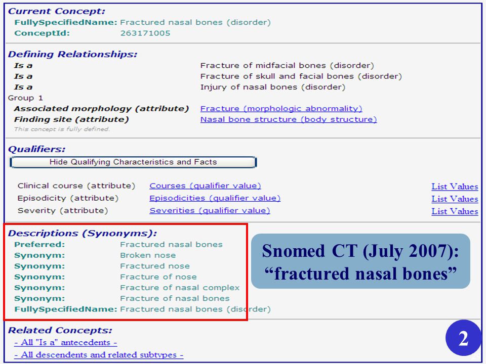 New York State Center of Excellence in Bioinformatics & Life Sciences Snomed CT (July 2007): fractured nasal bones 2 29