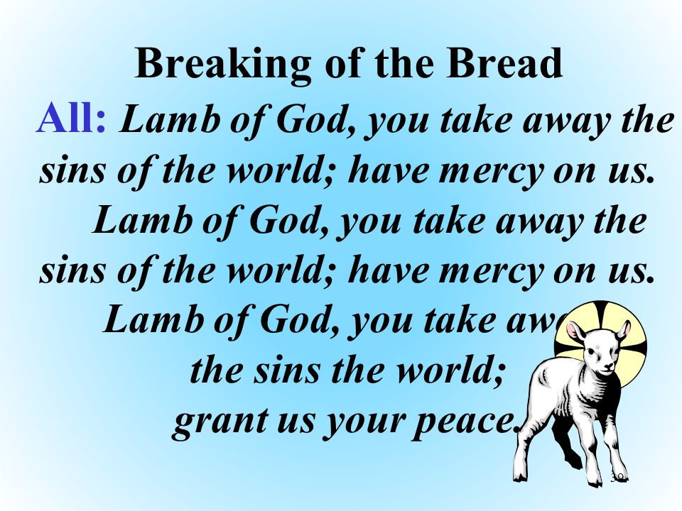 Breaking of the Bread All: Lamb of God, you take away the sins of the world; have mercy on us.
